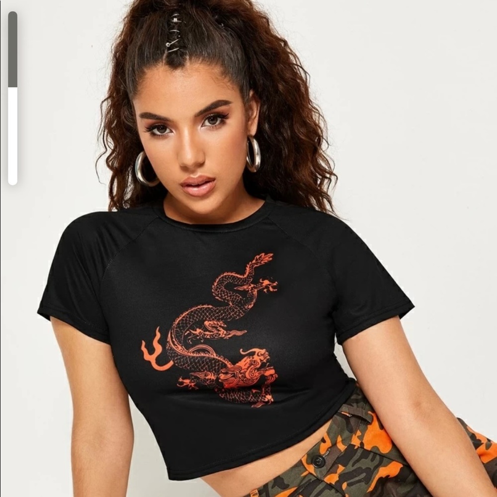 Dragon Print crop top